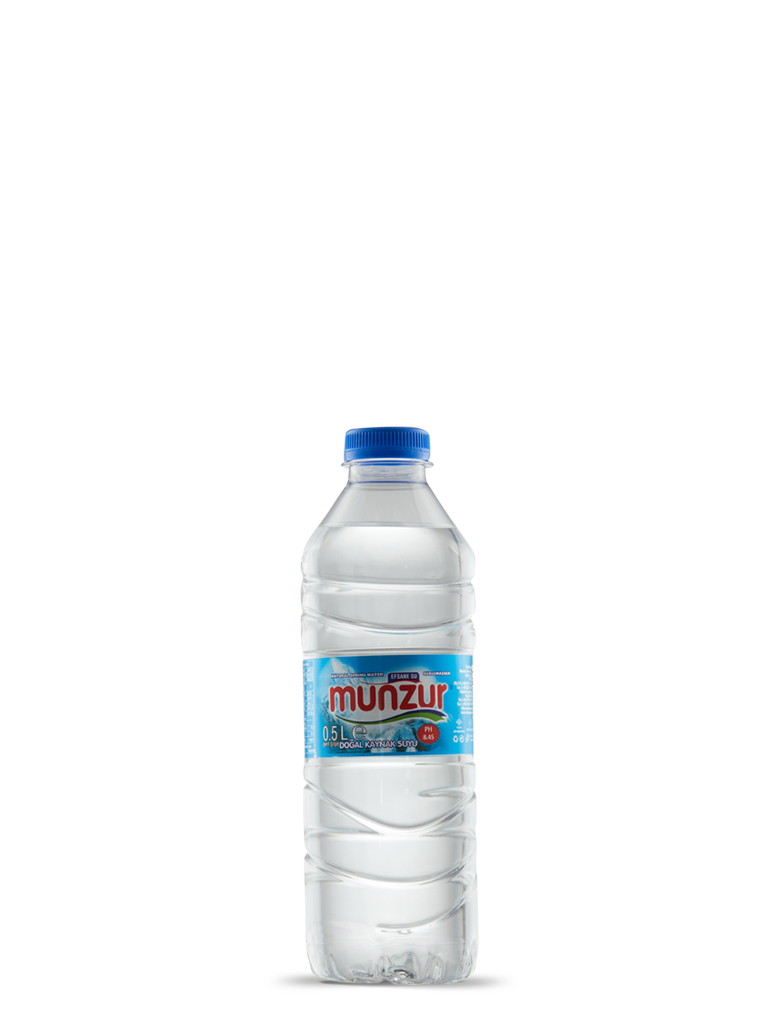 0.5 LT MUNZUR 24 LÜ PET SU